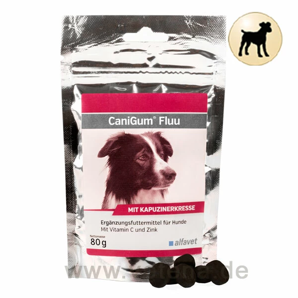 CaniGum Fluu Hund 1 CaniGum Fluu Hund