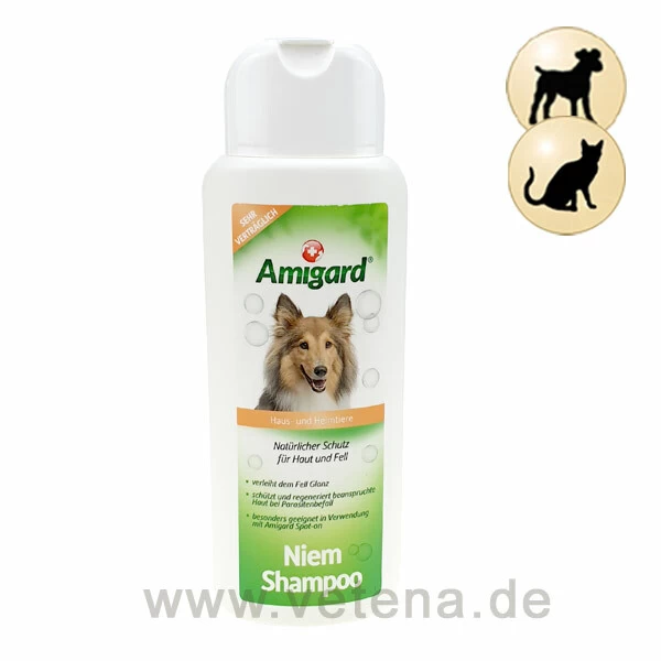 Amigard Shampoo 1 Amigard Shampoo