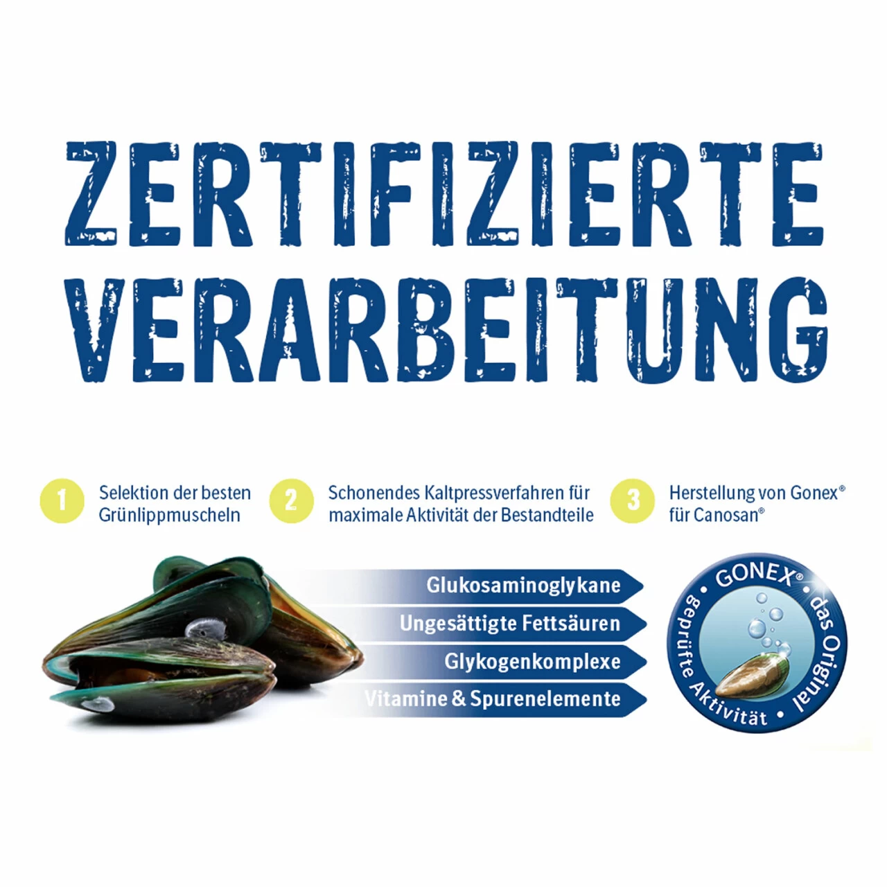 Boehringer Ingelheim Canosan Für Hunde 5 Boehringer Ingelheim Canosan Für Hunde – Bild 5