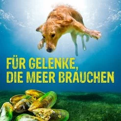 Boehringer Ingelheim Canosan Für Hunde 13 Boehringer Ingelheim Canosan Für Hunde -Virbac Strore canosan hund boehringer ingelheim6