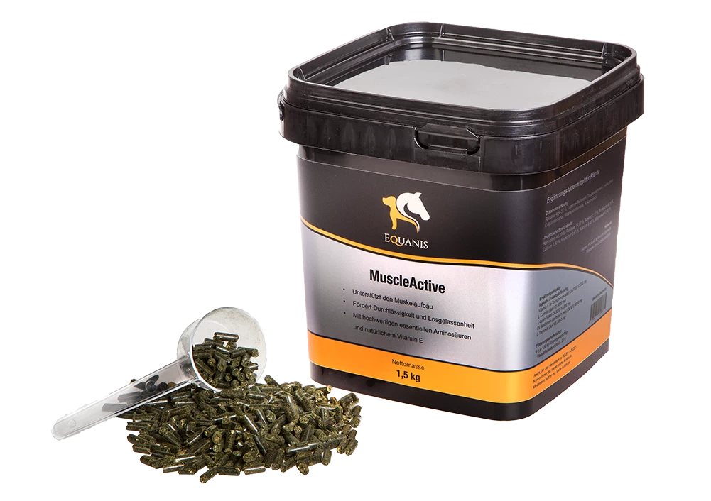 Equanis MuscleActive Für Pferde 2 Equanis MuscleActive Für Pferde – Bild 2