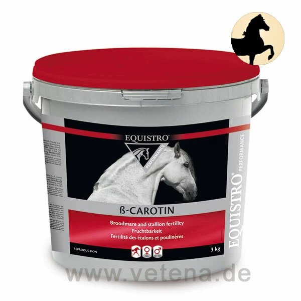 Equistro ß-Carotin Pferd 1 Equistro ß-Carotin Pferd