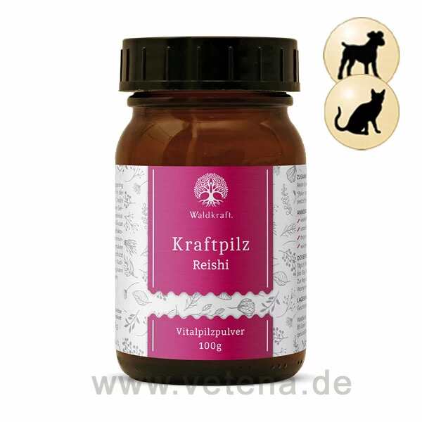 Kraftpilze Reishi - Vitalpilzpulver Für Hunde & Katzen 1 Kraftpilze Reishi - Vitalpilzpulver Für Hunde & Katzen