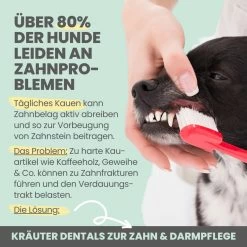 Noms+ Kräuter Dentals Für Hunde -Virbac Strore nomsplus kraeuter dentals hunde4