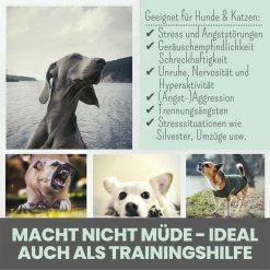 Noms+ Wohlfühltabs Für Hunde & Katzen -Virbac Strore nomsplus wohlfuehltabs hund katze6