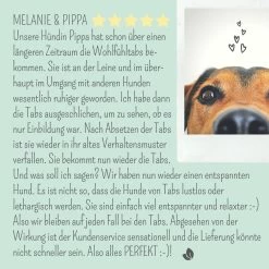 Noms+ Wohlfühltabs Für Hunde & Katzen -Virbac Strore nomsplus wohlfuehltabs hund katze8