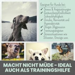 Noms+ Wohlfühlsnacks Für Hunde -Virbac Strore nomsplus wohlfuehltabs hund katze 15