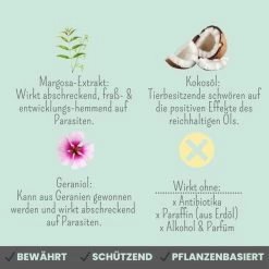 Noms+ Zpot-on Für Katzen -Virbac Strore nomsplus zpot on katzen5