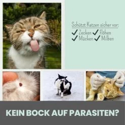 Noms+ Zpot-on Für Katzen -Virbac Strore nomsplus zpot on katzen7