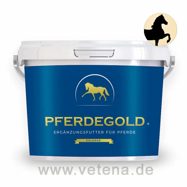 Pferdegold Gelenke 1 Pferdegold Gelenke