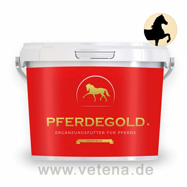 Pferdegold Muskeln 1 Pferdegold Muskeln