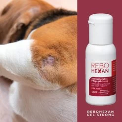ReboHexan Gel Strong -Virbac Strore rebohexan gel strong tiere4