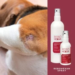 ReboHexan Spray -Virbac Strore rebohexan spray tiere4