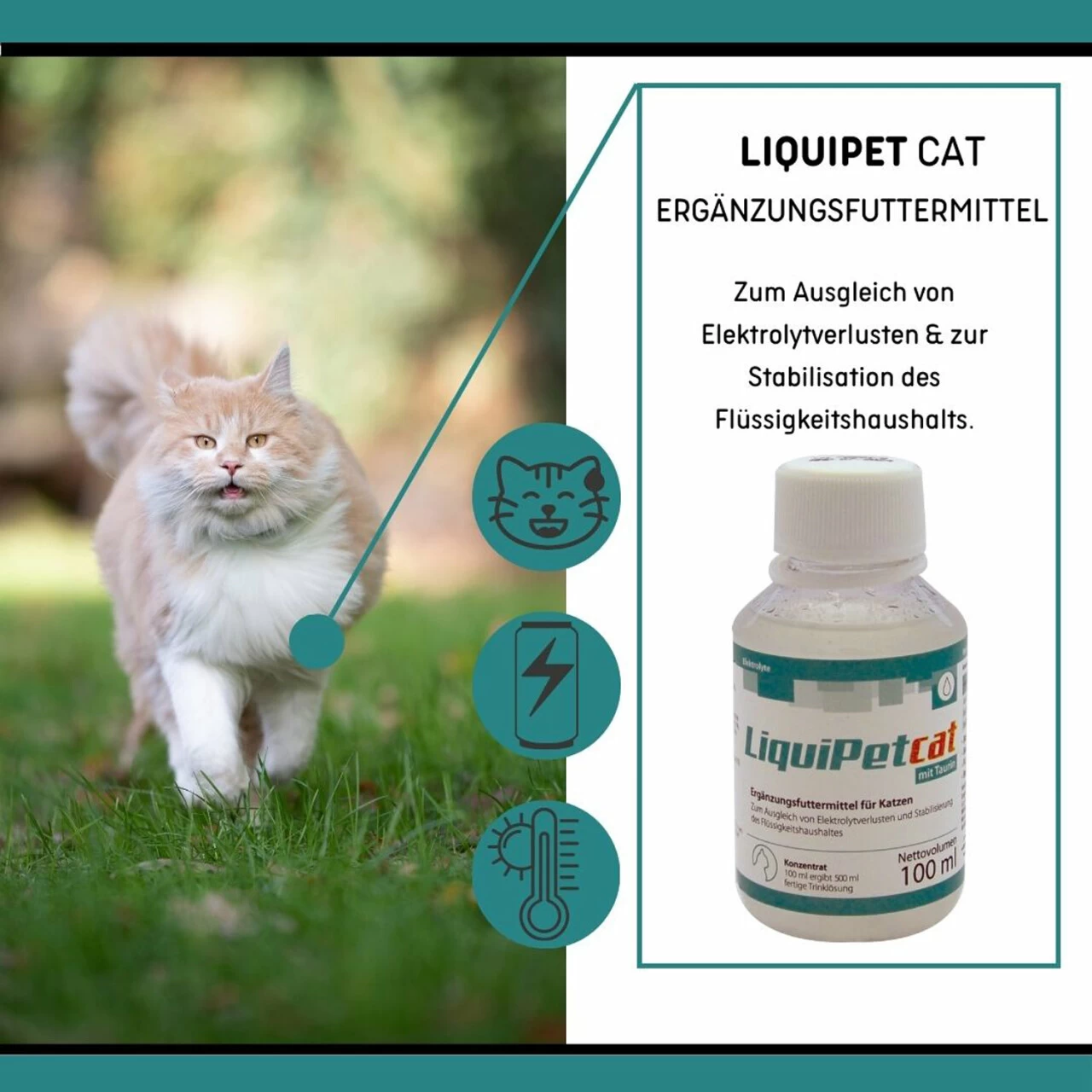 ReboVet LiquiPet Cat Für Katzen 3 ReboVet LiquiPet Cat Für Katzen – Bild 3