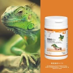 ReboVet REBOMin Für Vögel & Reptilien -Virbac Strore rebopharm rebomin kleintier4