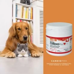 ReboTabs CARDIOPro Für Hunde & Katzen 7 ReboTabs CARDIOPro Für Hunde & Katzen -Virbac Strore rebotabs cardiopro4