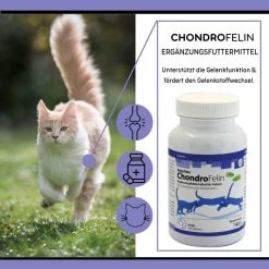 ReboTabs ChondroFelin Für Katzen -Virbac Strore rebotabs chondrofelin katze3