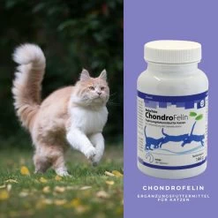 ReboTabs ChondroFelin Für Katzen -Virbac Strore rebotabs chondrofelin katze4