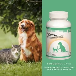 ReboTabs COLOSTROGuard Für Hunde & Katzen -Virbac Strore rebotabs colostroguard4