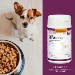 ReboTabs HEPARTop Für Hunde -Virbac Strore rebotabs hepartop3