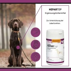 ReboTabs HEPARTop Für Hunde -Virbac Strore rebotabs hepartop4
