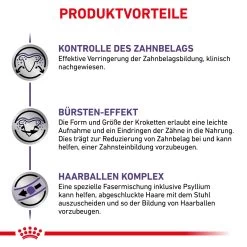 Royal Canin Expert Dental Trockenfutter Für Katzen -Virbac Strore royal canin dental katze5