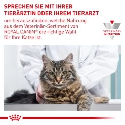 Royal Canin Expert Dental Trockenfutter Für Katzen -Virbac Strore royal canin dental katze9
