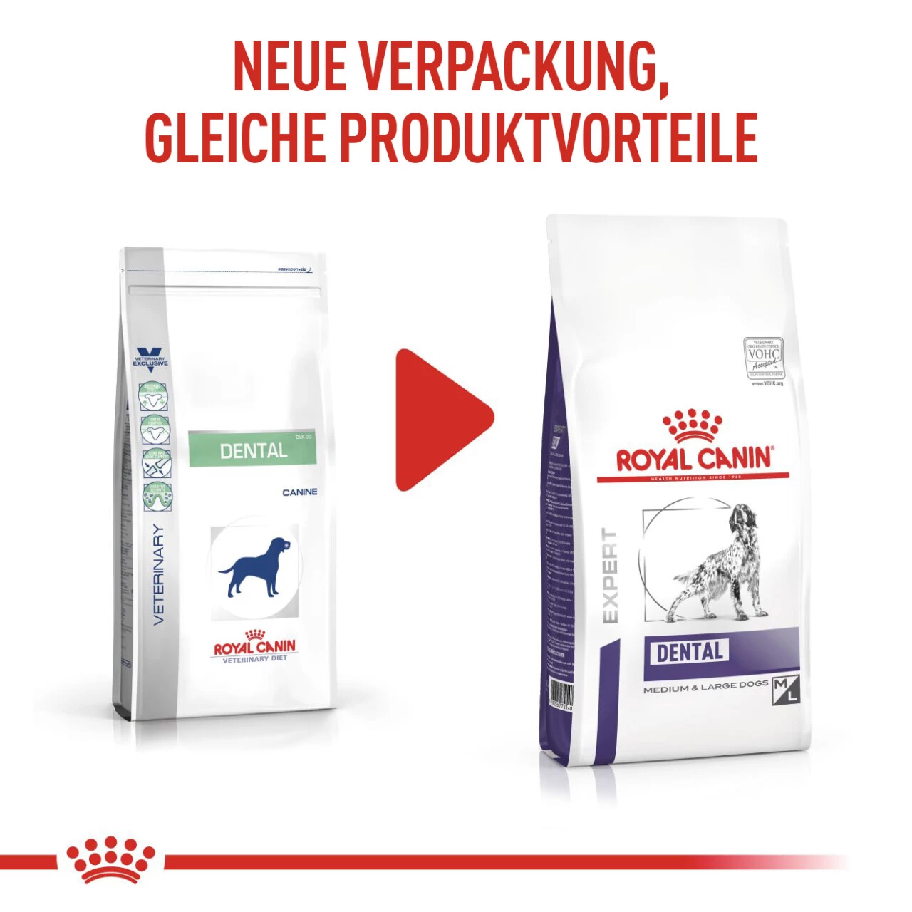 Royal Canin Expert Dental Medium & Large Dogs Trockenfutter Für Hunde 2 Royal Canin Expert Dental Medium & Large Dogs Trockenfutter Für Hunde – Bild 2