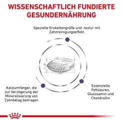 Royal Canin Expert Dental Medium & Large Dogs Trockenfutter Für Hunde 11 Royal Canin Expert Dental Medium & Large Dogs Trockenfutter Für Hunde -Virbac Strore royal canin dental medim large dogs3