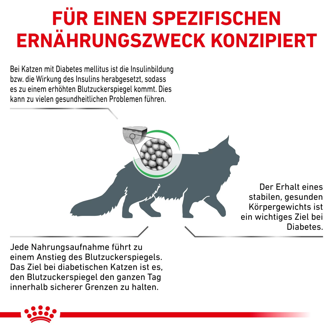 Royal Canin Diabetic Trockenfutter Für Katzen 5 Royal Canin Diabetic Trockenfutter Für Katzen – Bild 5
