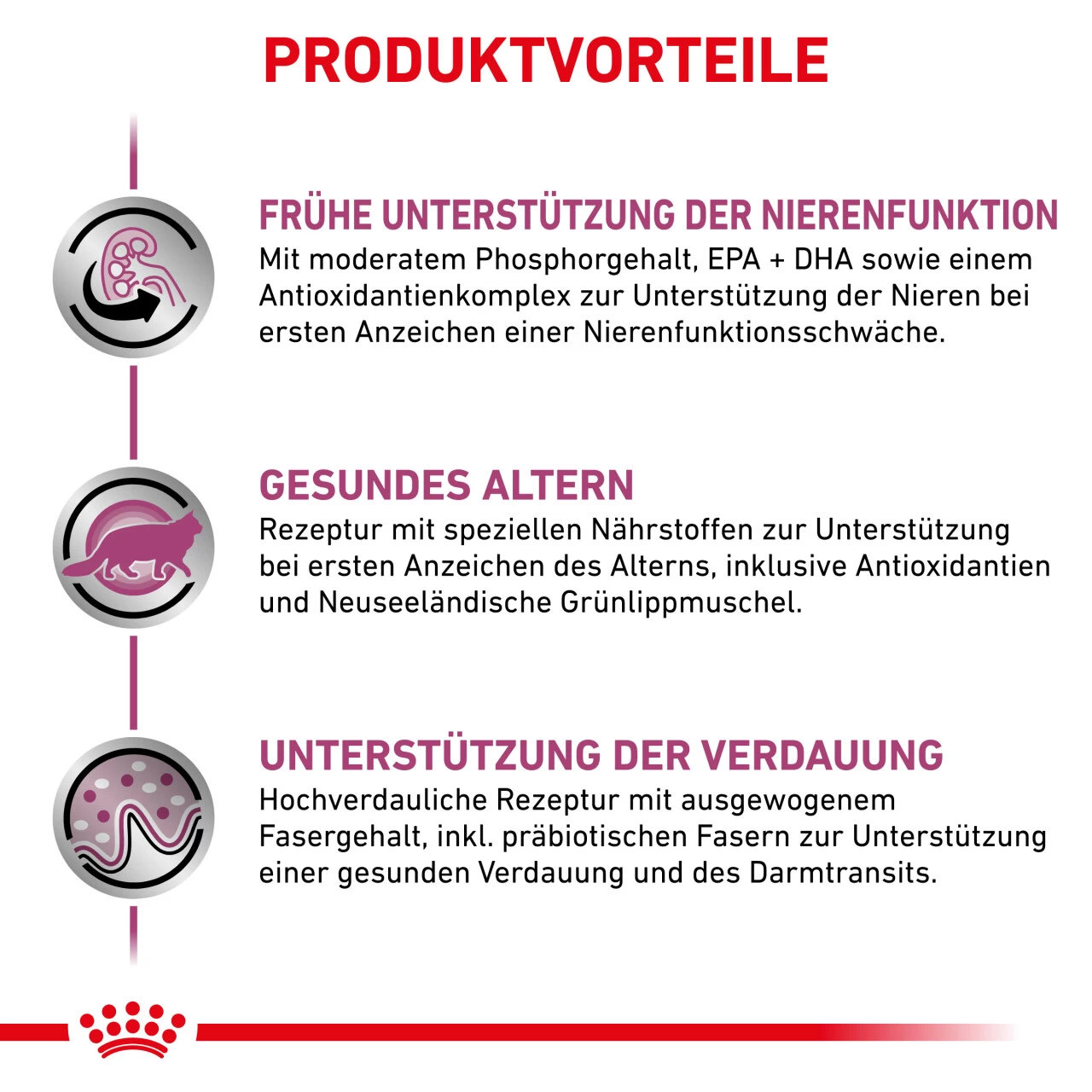 Royal Canin Early Renal Trockenfutter Für Katzen 2 Royal Canin Early Renal Trockenfutter Für Katzen – Bild 2