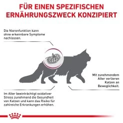 Royal Canin Early Renal Trockenfutter Für Katzen 12 Royal Canin Early Renal Trockenfutter Für Katzen -Virbac Strore royal canin early renal trocken katze5