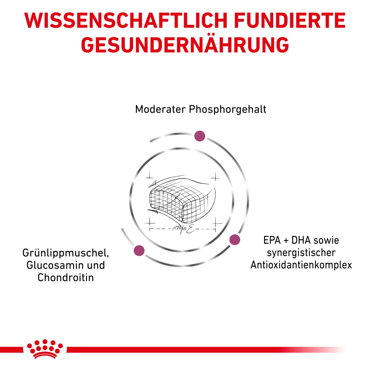 Royal Canin Early Renal Trockenfutter Für Katzen 6 Royal Canin Early Renal Trockenfutter Für Katzen – Bild 6