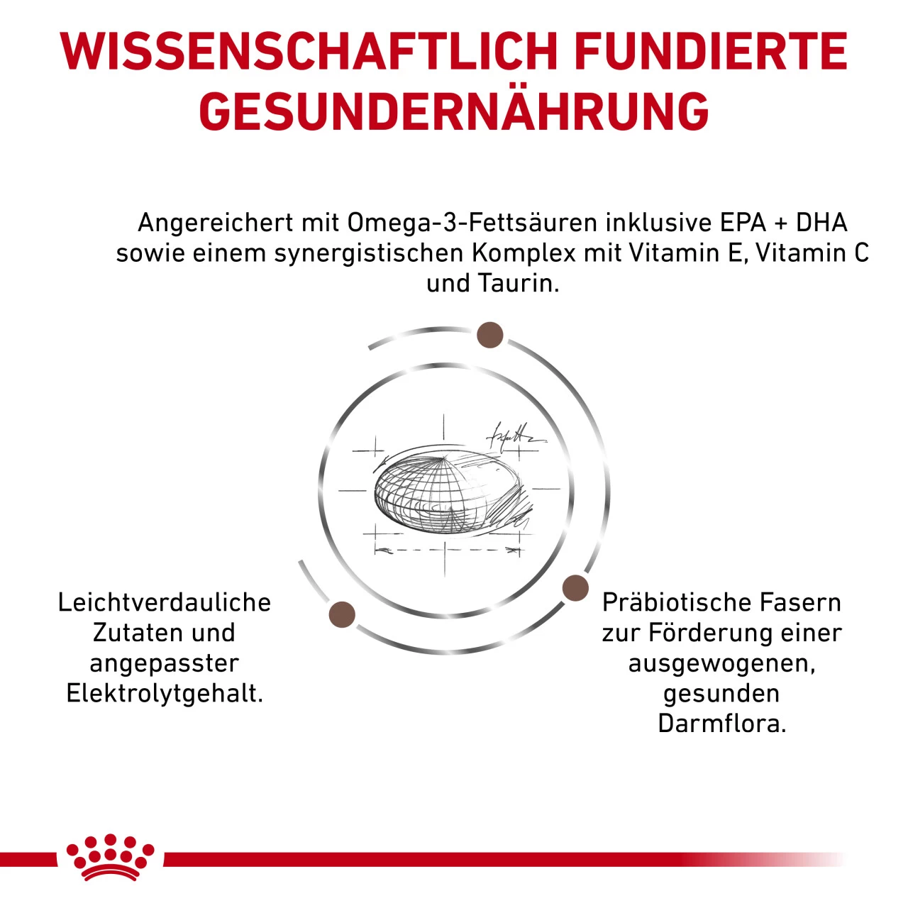 Royal Canin Gastrointestinal High Fibre Trockenfutter Für Hunde 5 Royal Canin Gastrointestinal High Fibre Trockenfutter Für Hunde – Bild 5