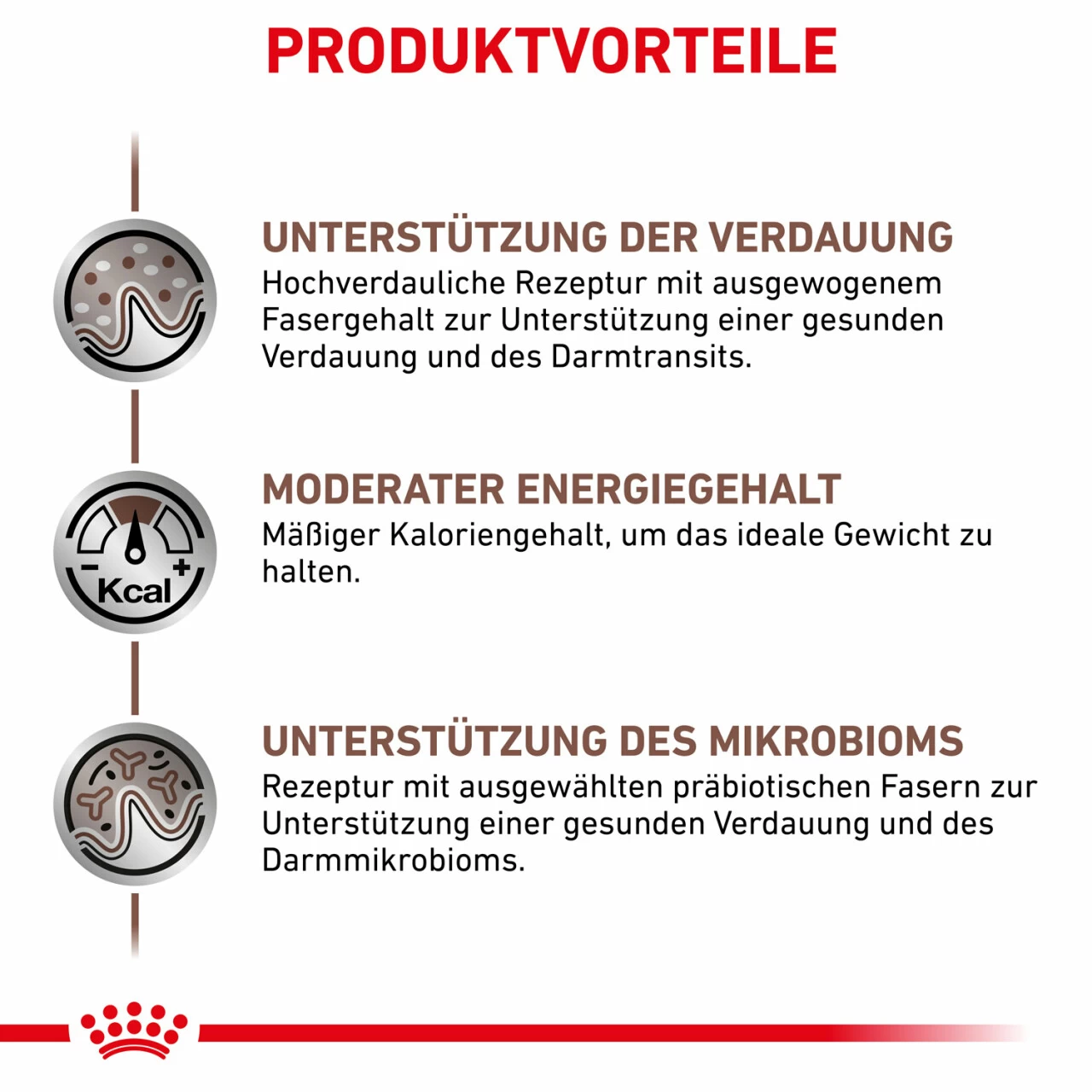 Royal Canin Gastrointestinal Moderate Calorie Trockenfutter Für Hunde 3 Royal Canin Gastrointestinal Moderate Calorie Trockenfutter Für Hunde – Bild 3