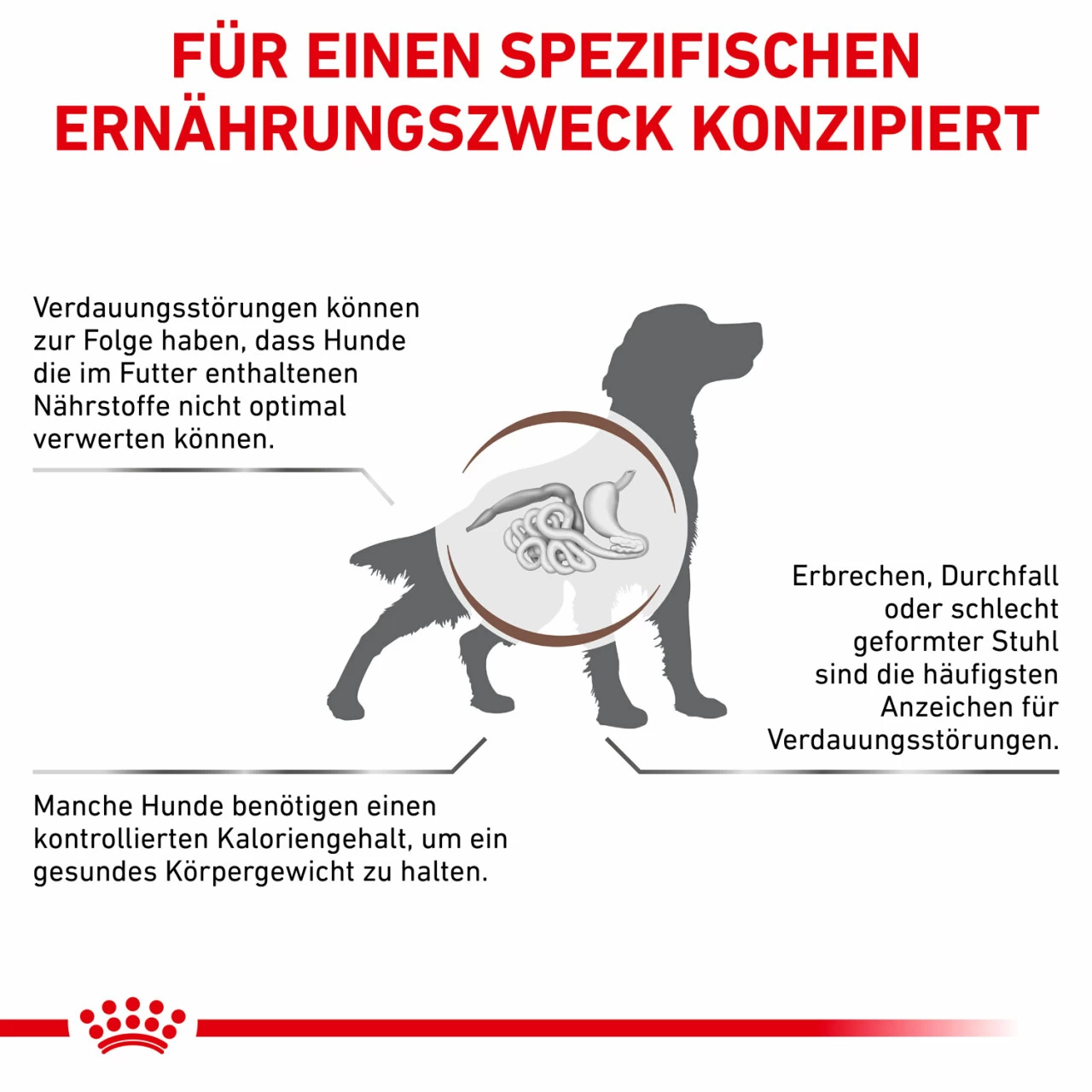 Royal Canin Gastrointestinal Moderate Calorie Trockenfutter Für Hunde 5 Royal Canin Gastrointestinal Moderate Calorie Trockenfutter Für Hunde – Bild 5