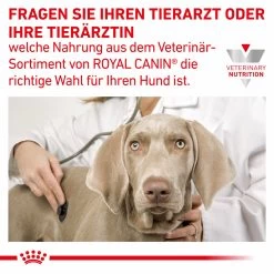 Royal Canin Gastrointestinal Moderate Calorie Trockenfutter Für Hunde 15 Royal Canin Gastrointestinal Moderate Calorie Trockenfutter Für Hunde -Virbac Strore royal canin gastro intestinal moderate calorie hund8