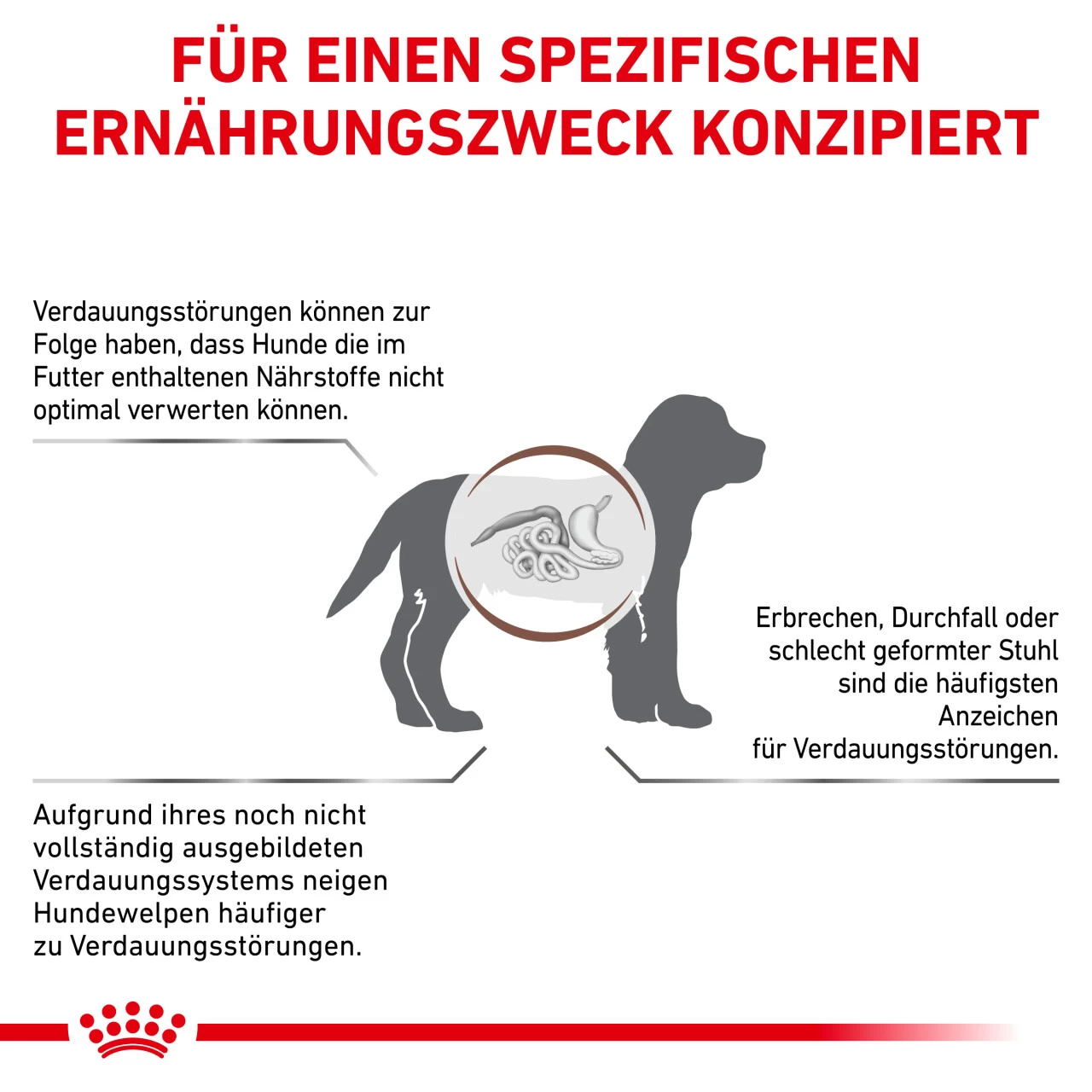 Royal Canin Gastrointestinal Puppy Trockenfutter Für Hunde 5 Royal Canin Gastrointestinal Puppy Trockenfutter Für Hunde – Bild 5