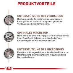 Royal Canin Gastrointestinal Kitten Nassfutter Für Katzen 8 Royal Canin Gastrointestinal Kitten Nassfutter Für Katzen -Virbac Strore royal canin gastrointestinal kitten nass4