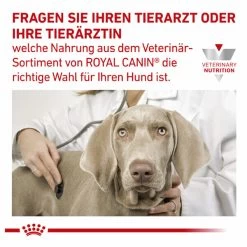 Royal Canin Gastrointestinal Low Fat Small Dogs Trockenfutter Für Hunde -Virbac Strore royal canin gastrointestinal low fat small dogs trockenfutter hund9
