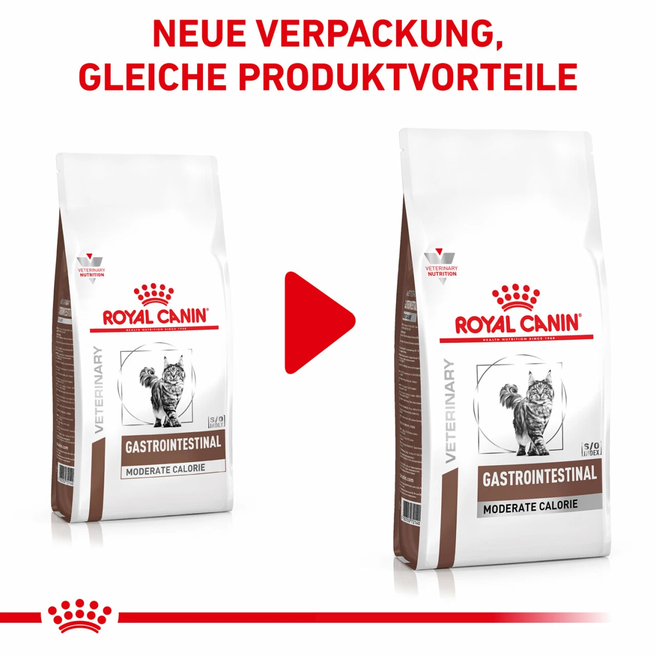 Royal Canin Gastrointestinal Moderate Calorie Trockenfutter Für Katzen 2 Royal Canin Gastrointestinal Moderate Calorie Trockenfutter Für Katzen – Bild 2