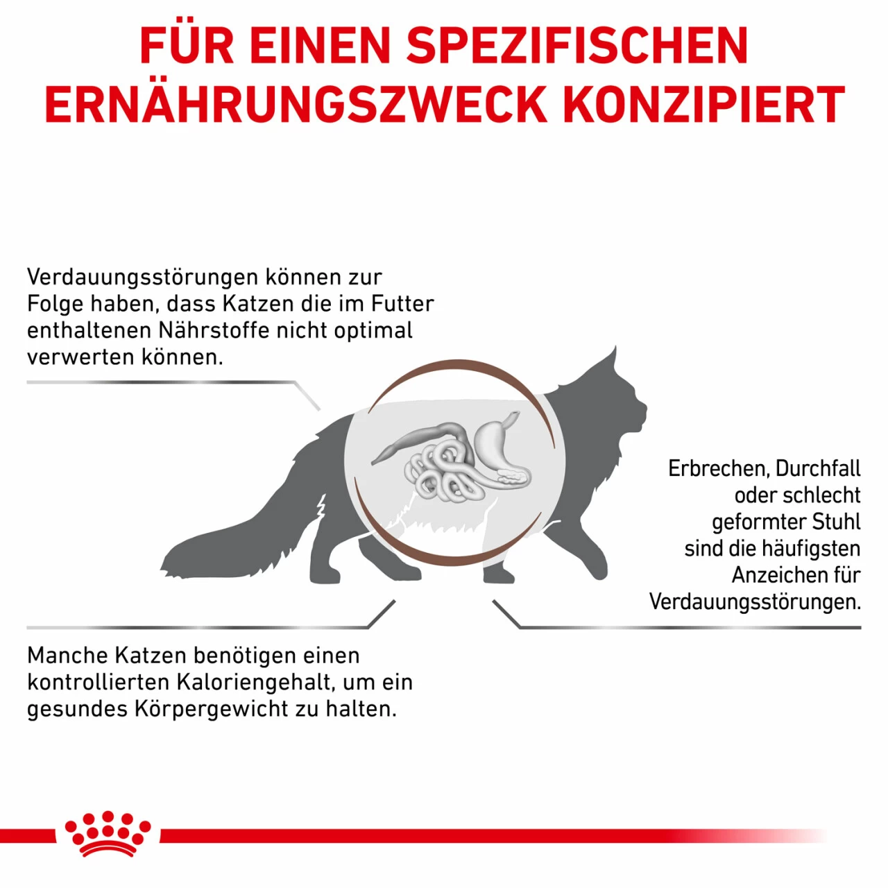 Royal Canin Gastrointestinal Moderate Calorie Trockenfutter Für Katzen 6 Royal Canin Gastrointestinal Moderate Calorie Trockenfutter Für Katzen – Bild 6