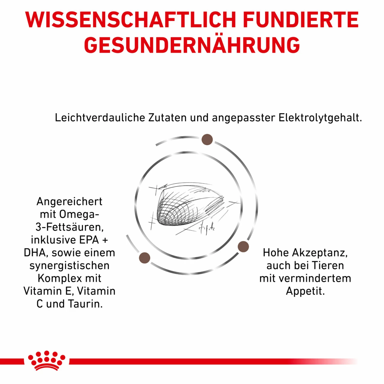 Sparpaket Royal Canin Gastrointestinal Für Katzen 4 Sparpaket Royal Canin Gastrointestinal Für Katzen – Bild 4