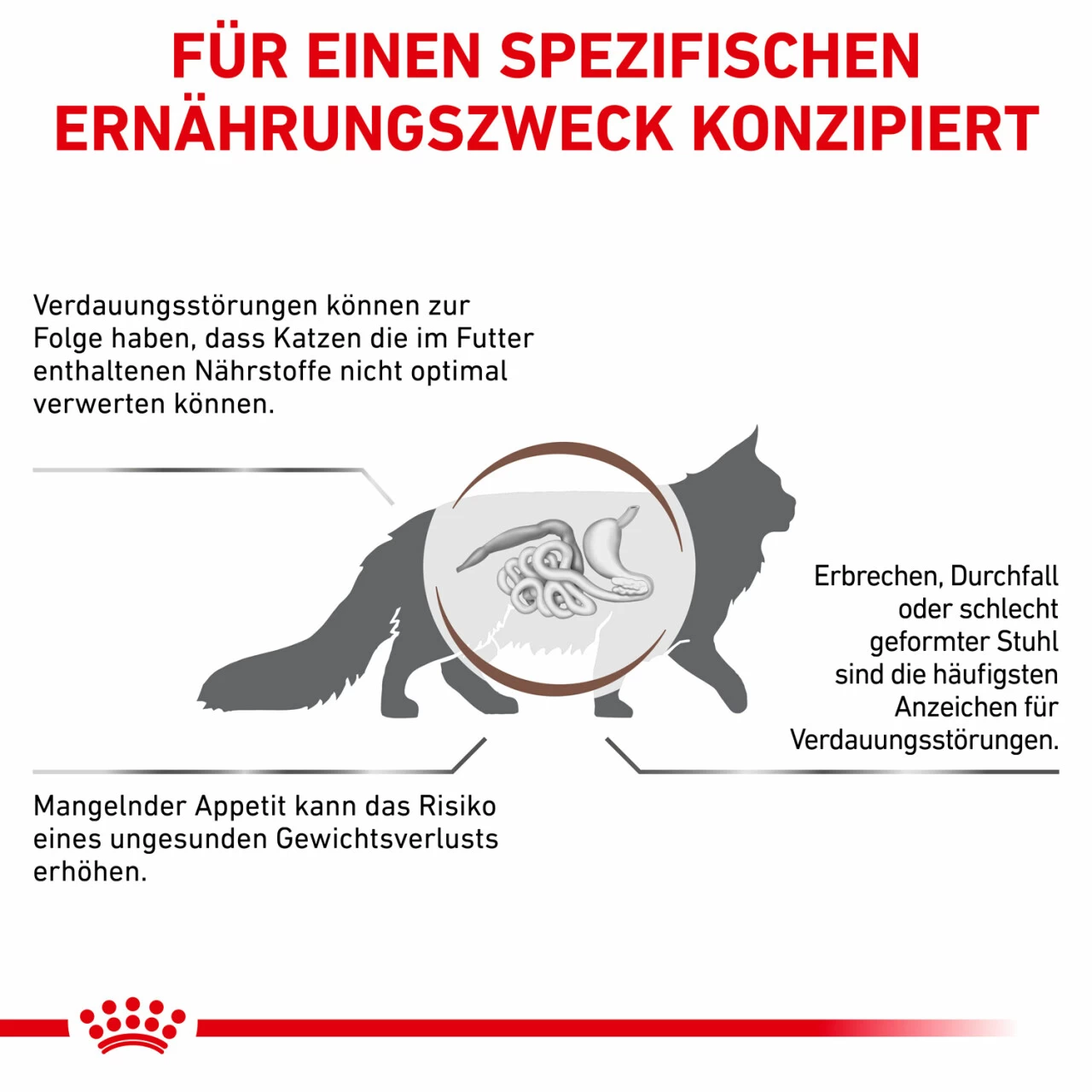 Sparpaket Royal Canin Gastrointestinal Für Katzen 5 Sparpaket Royal Canin Gastrointestinal Für Katzen – Bild 5