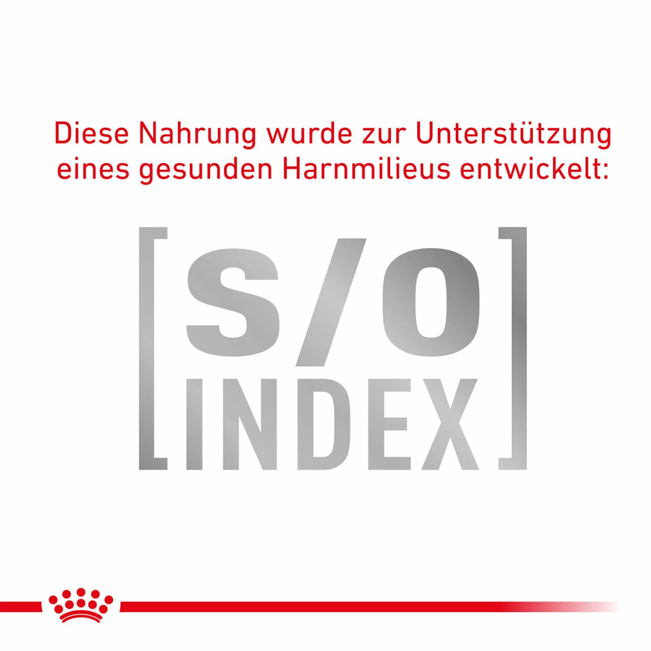 Sparpaket Royal Canin Gastrointestinal Für Katzen 6 Sparpaket Royal Canin Gastrointestinal Für Katzen – Bild 6