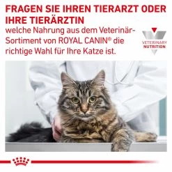 Sparpaket Royal Canin Gastrointestinal Für Katzen 13 Sparpaket Royal Canin Gastrointestinal Für Katzen -Virbac Strore royal canin gastrointestinal sparpaket katze7