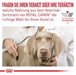 Royal Canin Hypoallergenic Small Dogs Trockenfutter Für Hunde -Virbac Strore royal canin hypoallergenic small dogs hund3