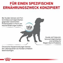 Royal Canin Hypoallergenic Trockenfutter Für Hunde -Virbac Strore royal canin hypoallergenic trocken hund8