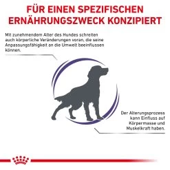 Royal Canin Expert Mature Consult Medium Dogs Trockenfutter Für Hunde -Virbac Strore royal canin mature consult medium dogs hund3