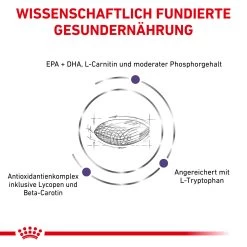 Royal Canin Expert Mature Consult Medium Dogs Trockenfutter Für Hunde -Virbac Strore royal canin mature consult medium dogs hund4